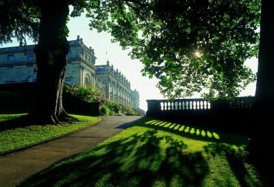 Woodland Walk and Talk  Harewood House | Harewood | England | United Kingdom